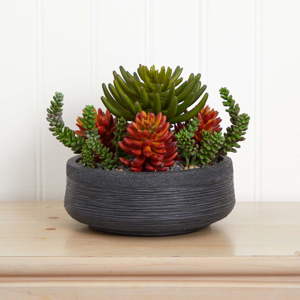 12in. Succulent Garden Artificial Plant in Bowl