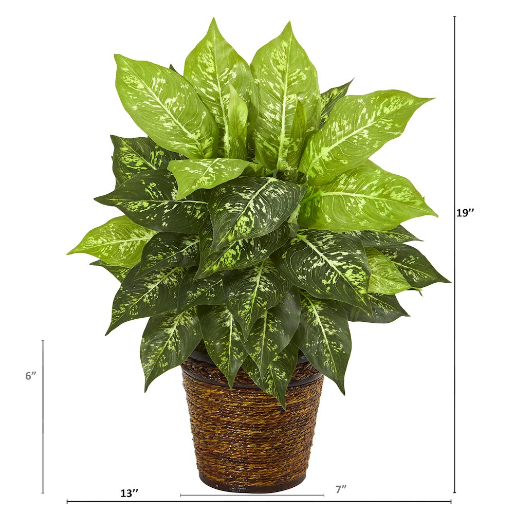 19in. Dieffenbachia Artificial Plant in Basket