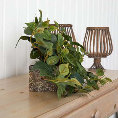 31in. Philodendron Artificial Ledge Plant