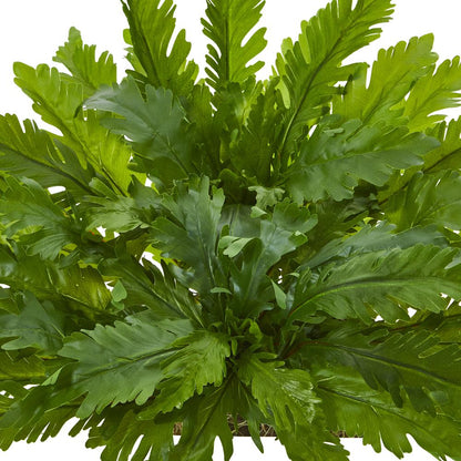 26in. Fern Artificial Ledge Plant
