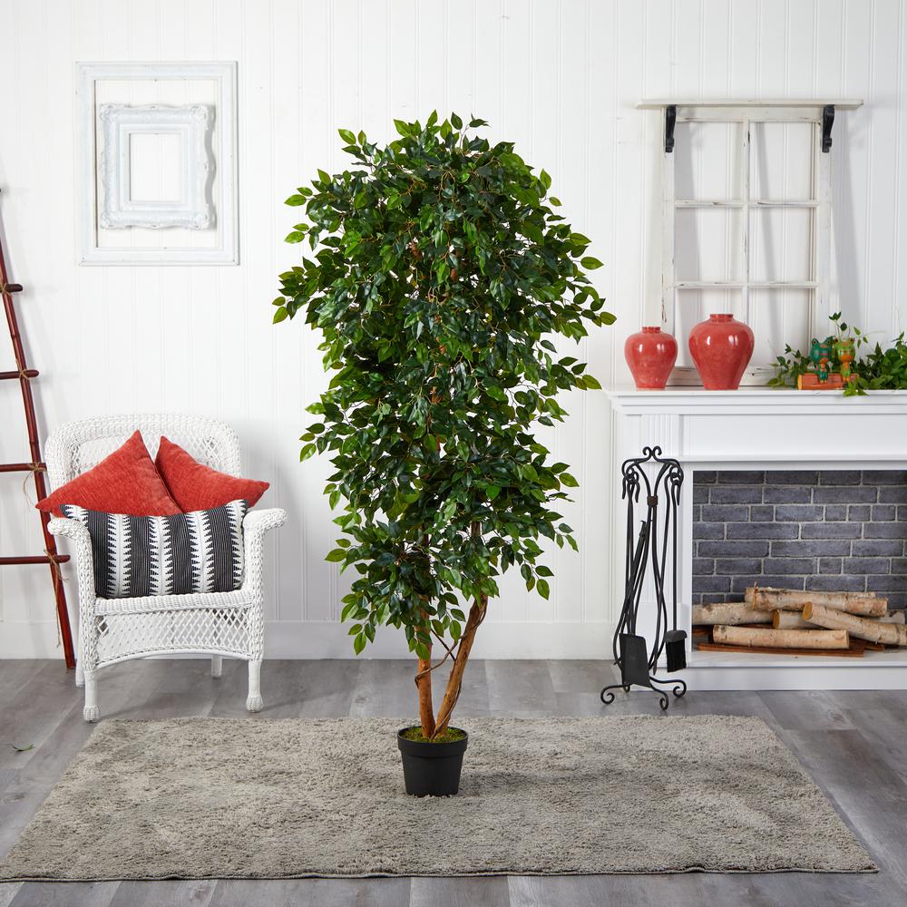6ft. Elegant Ficus Artificial Tree