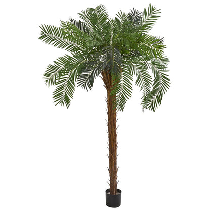 7ft. Cycas Palm Artificial Tree