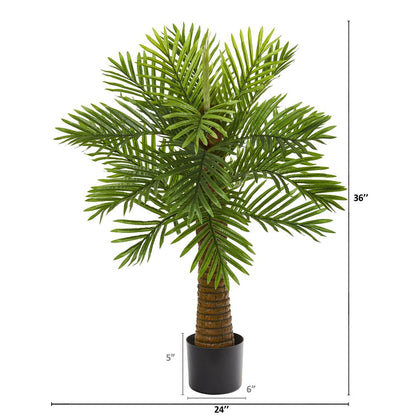 3ft. Robellini Palm Artificial Tree