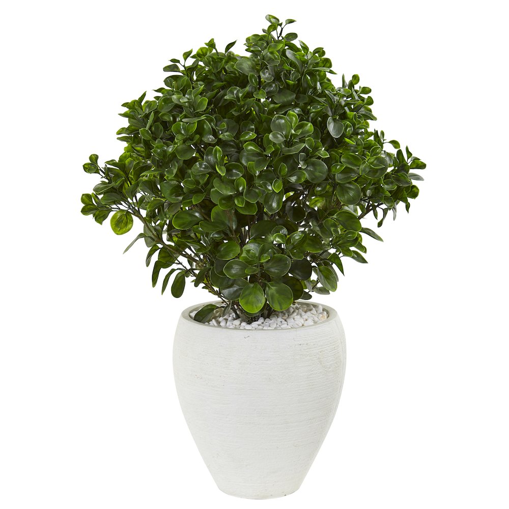 32in. Peperomia Artificial Plant in White Planter UV Resistant (Indoor/Outdoor)