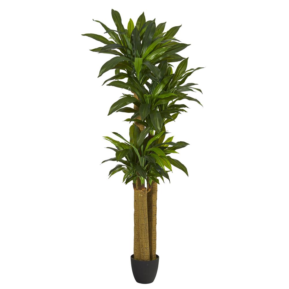 6ft. Corn Stalk Dracaena Artificial Plant (Real Touch)