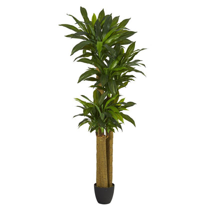 6ft. Corn Stalk Dracaena Artificial Plant (Real Touch)