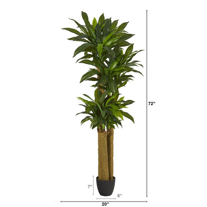 6ft. Corn Stalk Dracaena Artificial Plant (Real Touch)