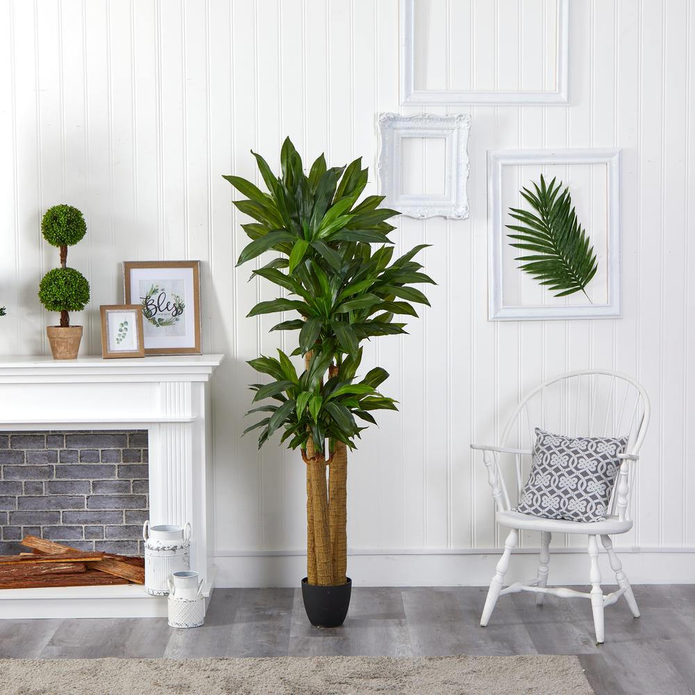 6ft. Corn Stalk Dracaena Artificial Plant (Real Touch)