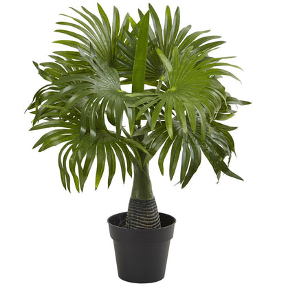 16in. Mini Fountain Palm Artificial Plant