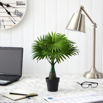 16in. Mini Fountain Palm Artificial Plant