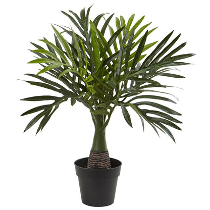 15.5in. Mini Areca Palm Artificial Plant