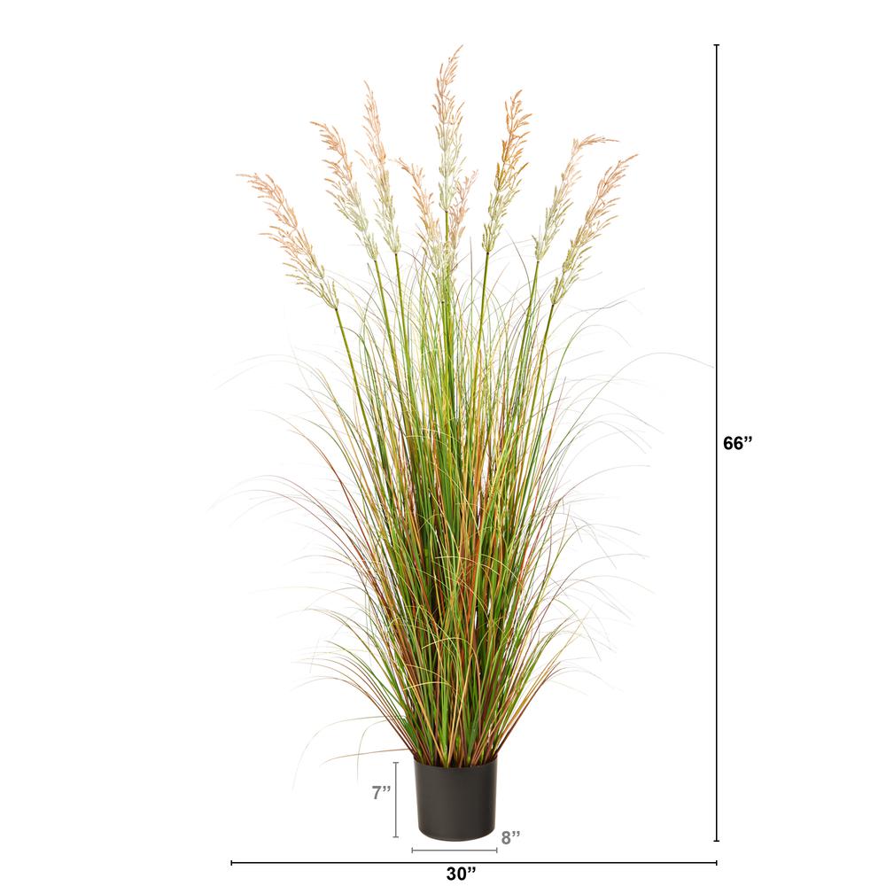 5.5ft. Plume Grass Artificial Plant