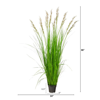 5.5’ Plum Grass Artificial Plant