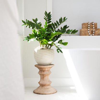 28in. Artificial Zamioculcas Plant with Decorative Planter