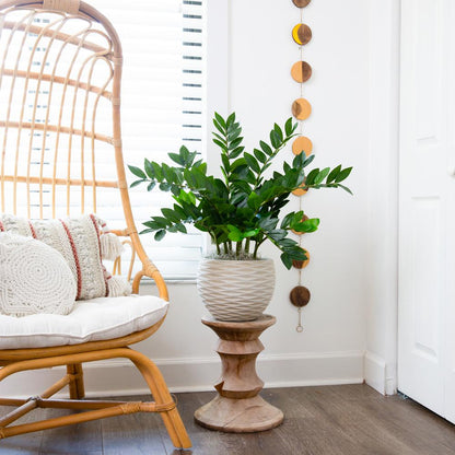 28in. Artificial Zamioculcas Plant with Decorative Planter