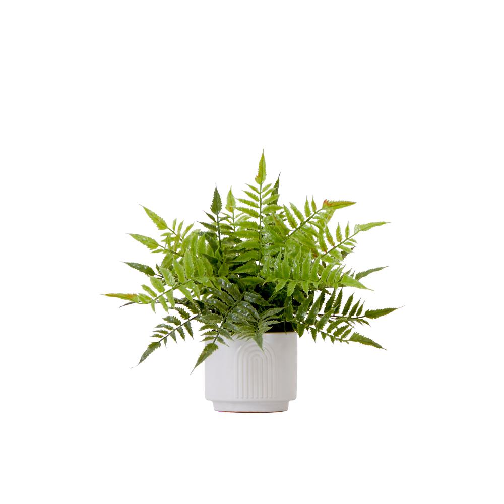 13in. Artificial Boston Fern Plant with Decorative Planter