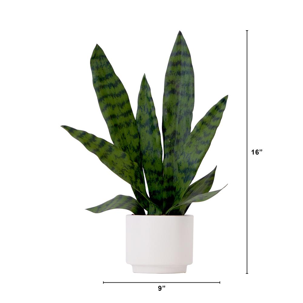16in. Artificial Sansevieria Snake Plant with Decorative Planter