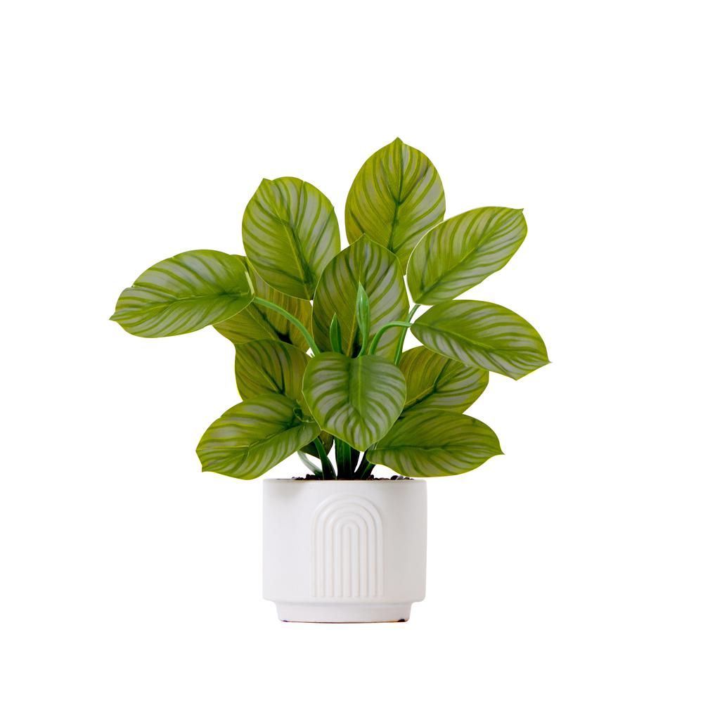 12in. Artificial Calathea Plant with Decorative Planter