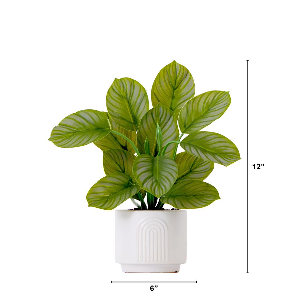 12in. Artificial Calathea Plant with Decorative Planter