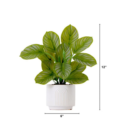12in. Artificial Calathea Plant with Decorative Planter