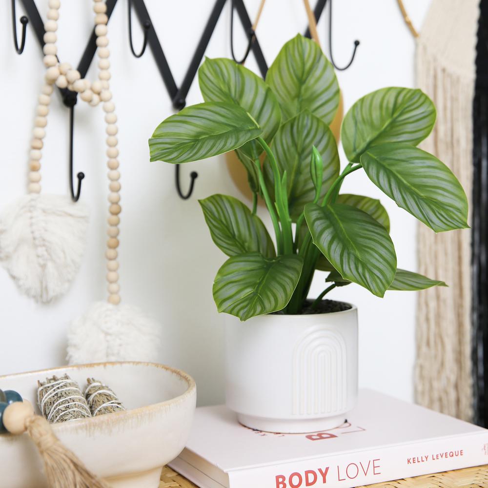 12in. Artificial Calathea Plant with Decorative Planter