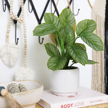 12in. Artificial Calathea Plant with Decorative Planter