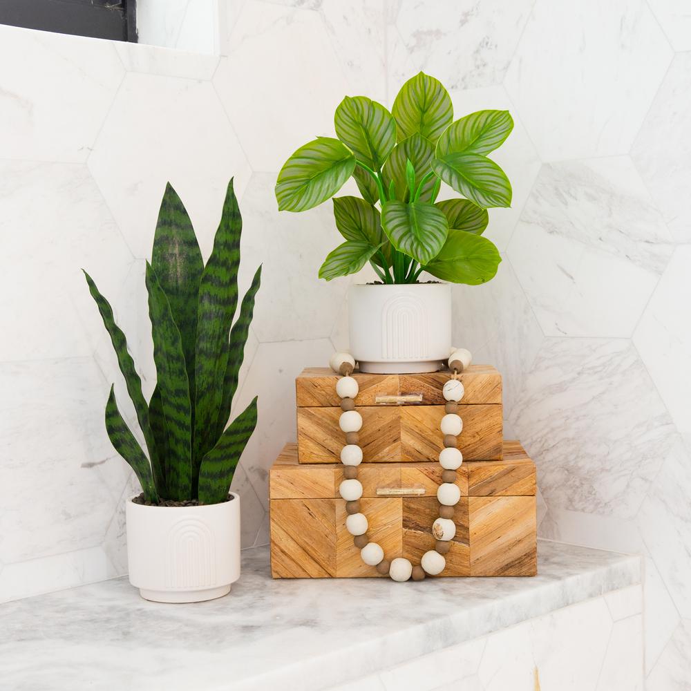 12in. Artificial Calathea Plant with Decorative Planter