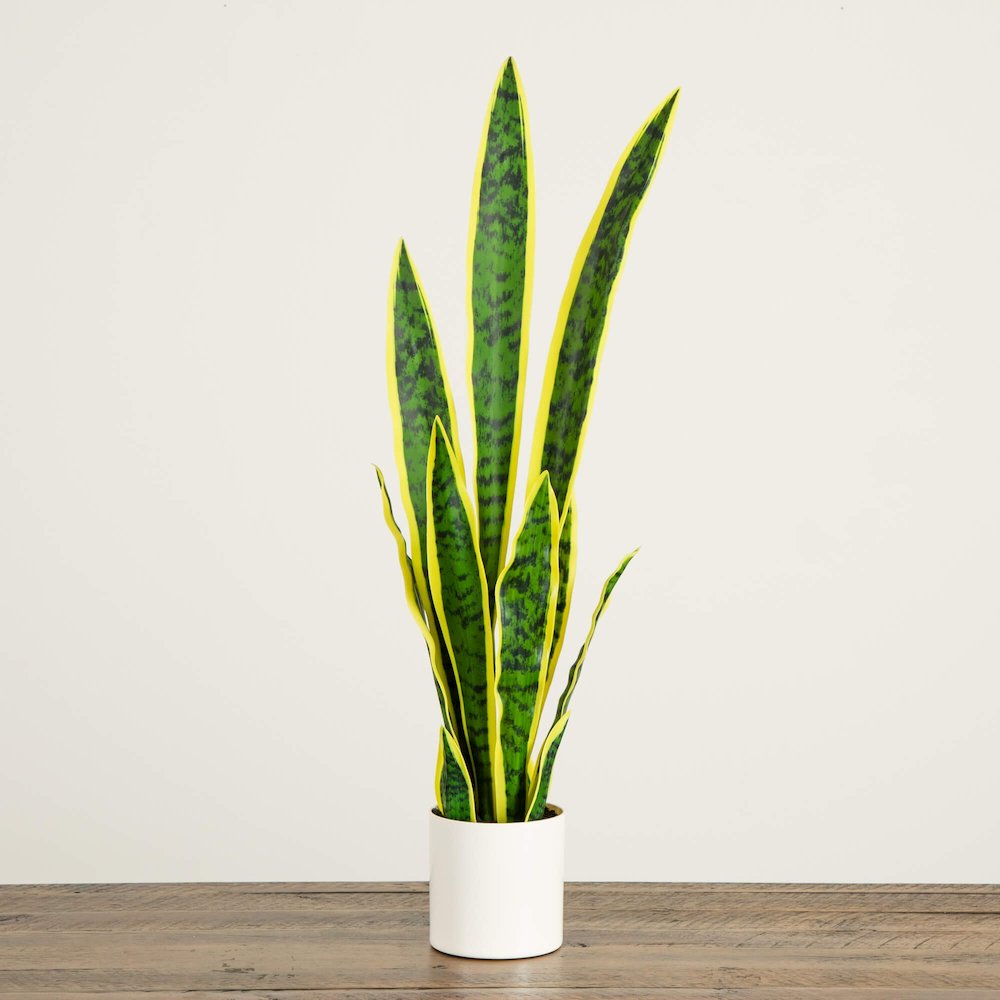 30in. Artificial Sansevieria Plant