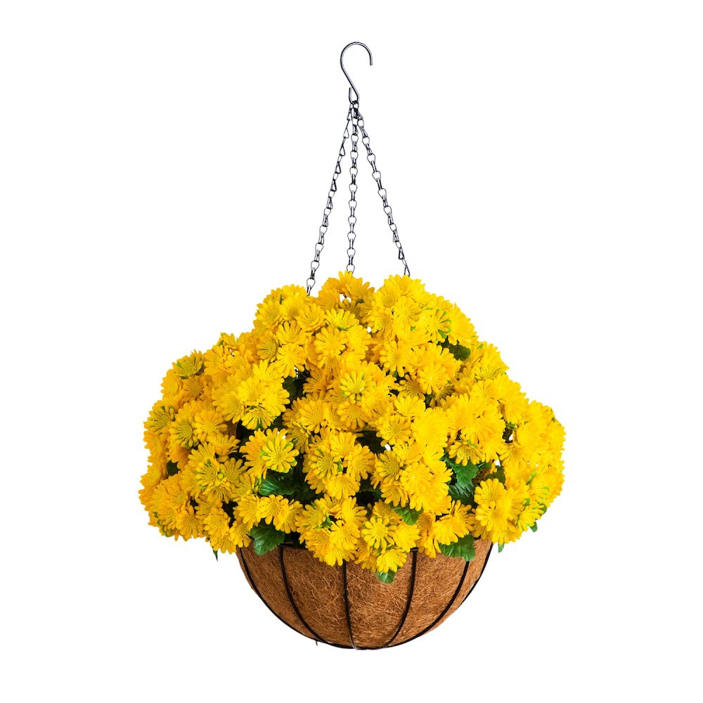 24in. UV Resistant Artificial Chrysanthemum Hanging Basket (Indoor/Outdoor)