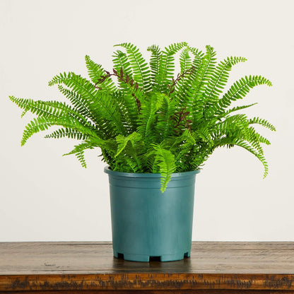 23in. UV Resistant Artificial Boston Fern Plant with Real Touch Leaves