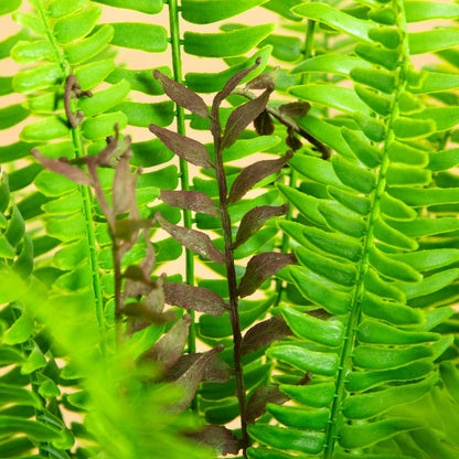 27in. UV Resistant Artificial Boston Fern Plant with Real Touch Leaves