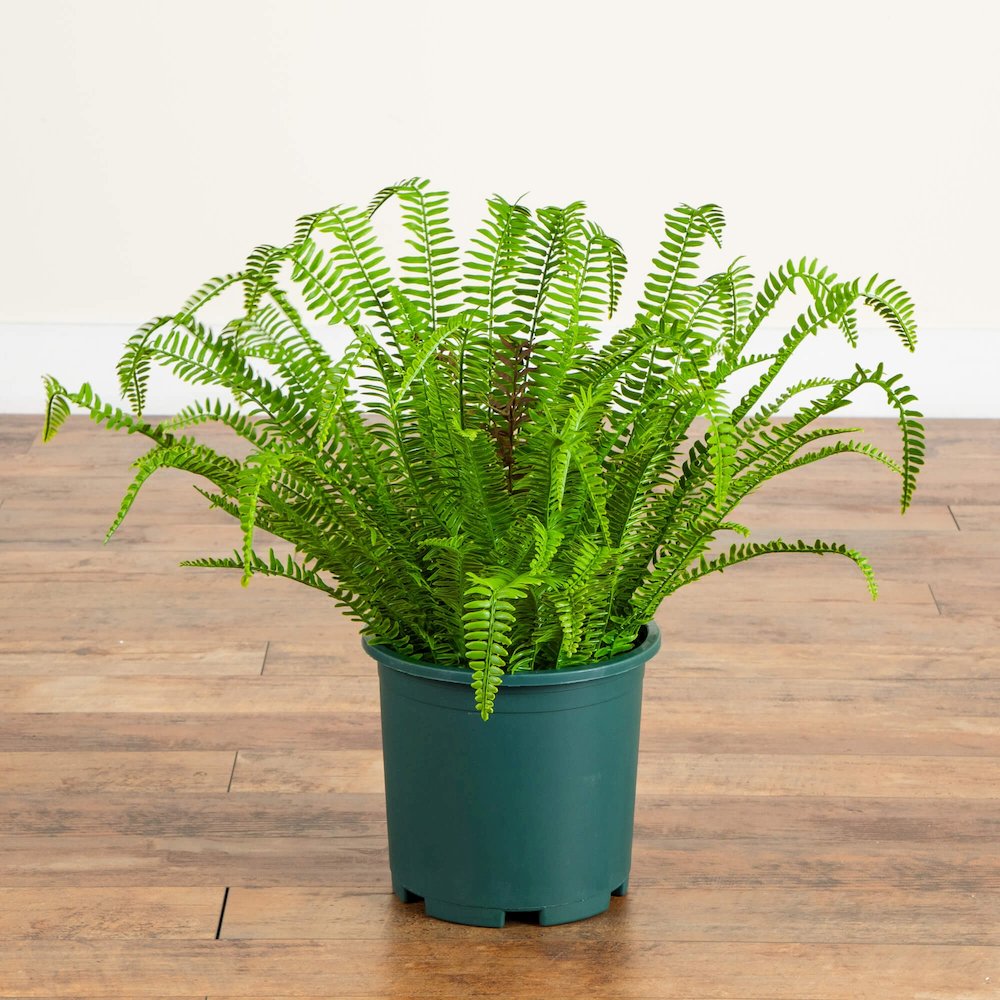 27in. UV Resistant Artificial Boston Fern Plant with Real Touch Leaves