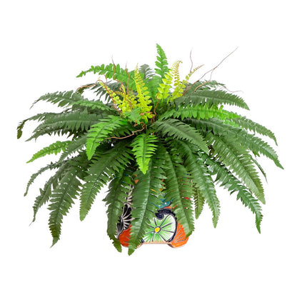 21in. Artificial Boston Fern in Handmade Mexican Talavera Ceramic Planter