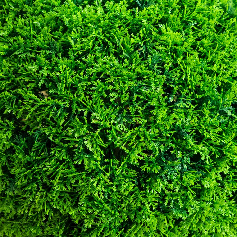 16in. UV Resistant Artificial Mediterranean Cypress Topiary Plant