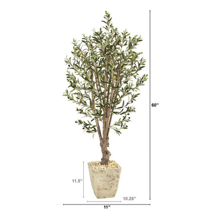 5ft. Olive Artificial Tree in Country White Planter