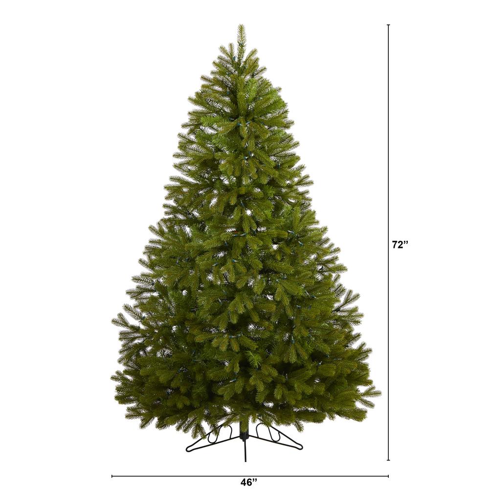 6ft. Cambridge Spruce Flat Back Artificial Christmas Tree with 350 Warm White (Multifunction) LED Lights and 642 Bendable Branches