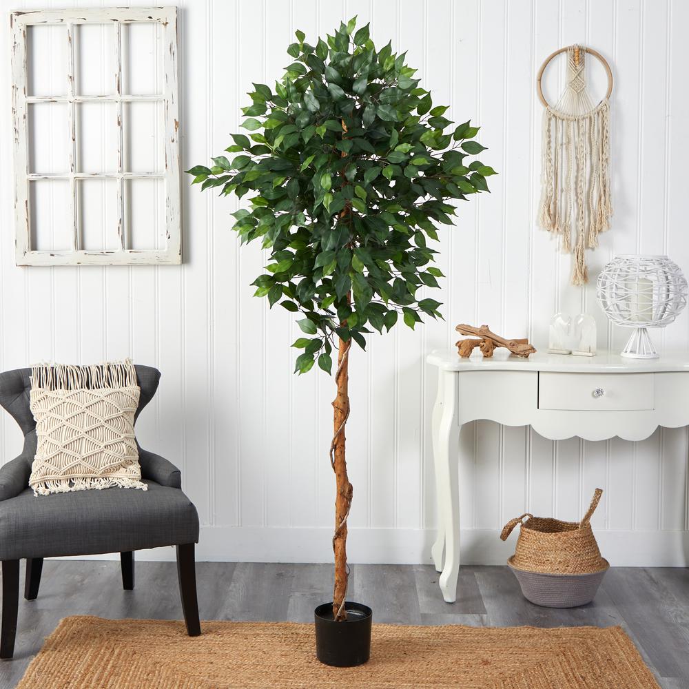 6ft. Ficus Artificial Tree