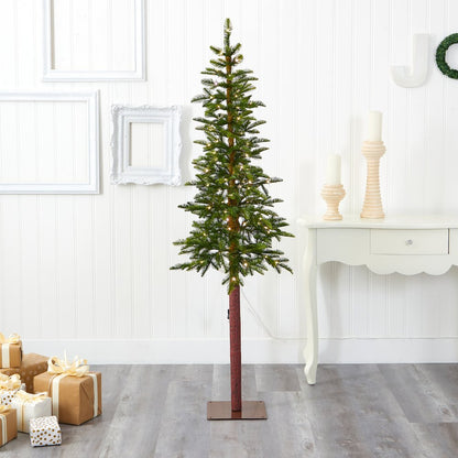 6ft. Alaskan Alpine Artificial Christmas Tree with 100 Clear Microdot LED Lights
