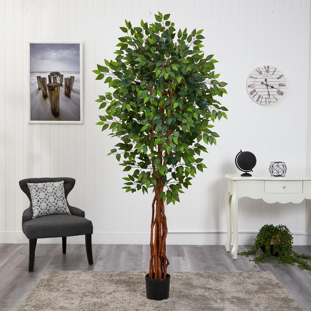 6.5ft. Super Deluxe Ficus Artificial Tree with Natural Trunk