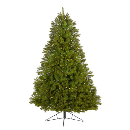 7ft. Cambridge Spruce Flat Back Christmas Tree with 500 Warm LED Lights