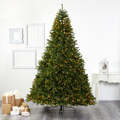9ft. Sierra Spruce Artificial Christmas Tree with 1000 Clear LED Lights