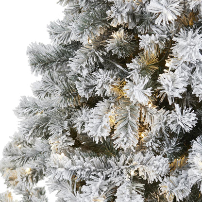 7ft. Flocked West Virginia Fir Artificial Christmas Tree with 350 Clear LED Lights