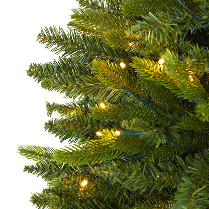 6ft. Sun Valley Fir Artificial Christmas Tree with 300 Clear LED Lights