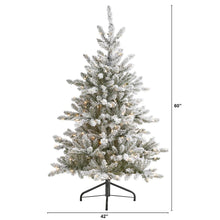 5ft. Flocked West Virginia Spruce Artificial Christmas Tree with 200 Clear Lights and 604 Bendable Branches