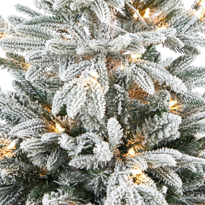5ft. Flocked Manchester Spruce Christmas Tree with 100 Lights in Red Planter