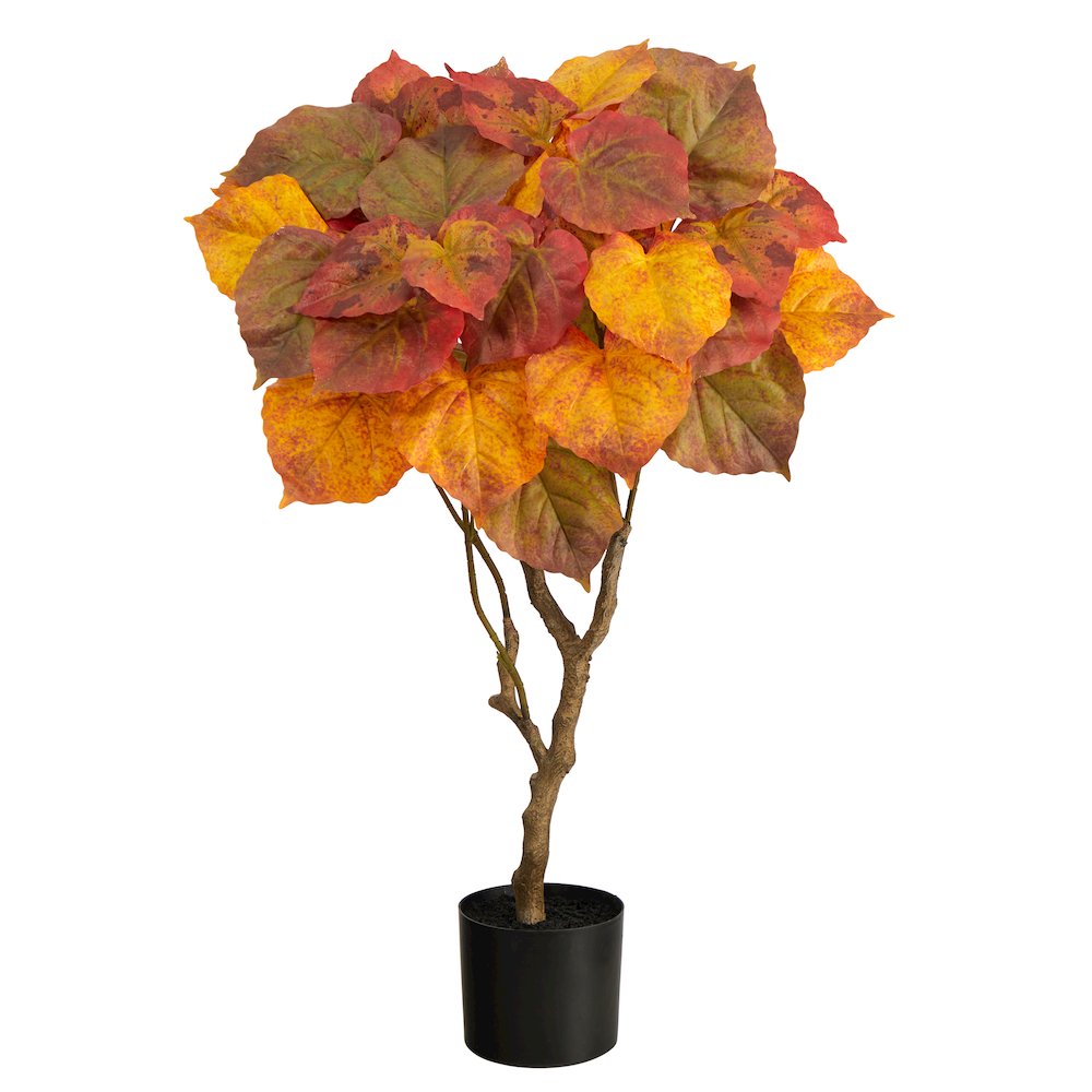 3ft. Autumn Umbrella Ficus Tree