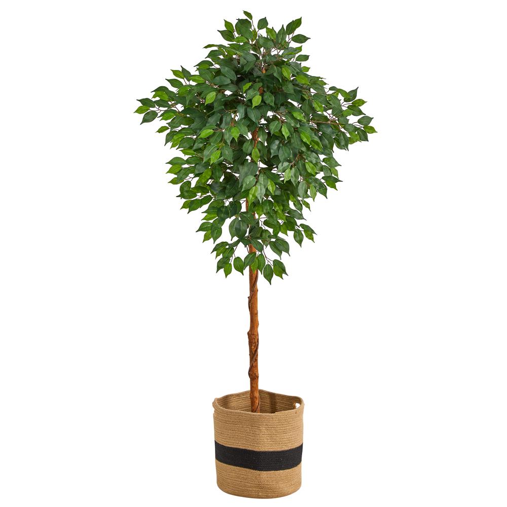 6ft. Artificial Ficus Tree with Handmade Jute & Cotton Basket