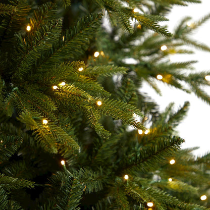 9ft. Colorado Mountain Fir Artificial Christmas Tree with 900 Multi LED Lights