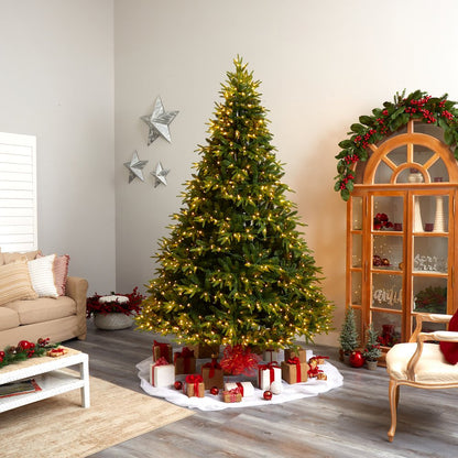 9ft. Colorado Mountain Fir Artificial Christmas Tree with 900 Multi LED Lights