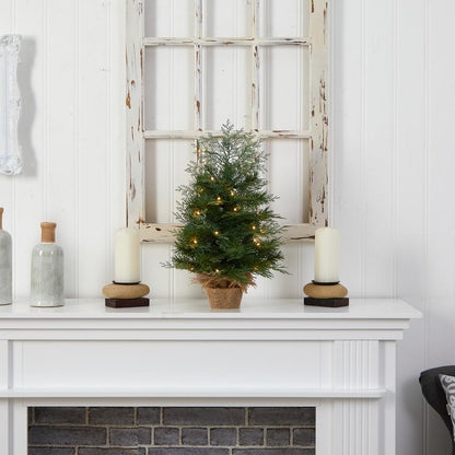 2ft. Artificial Christmas Tree in Burlap Base with 35 Warm White LED Lights